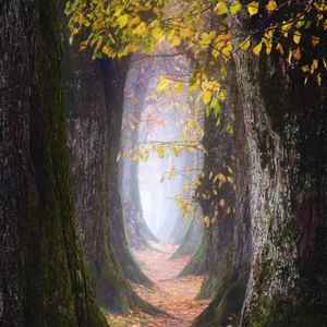 C-Hwin - 新世界×上课铃×雷达铃声 (纯享版)