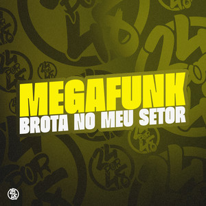 Mega Funk Brota no Meu Setor (Explicit)