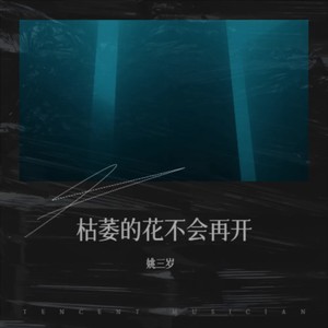 九十九朵泪花封面