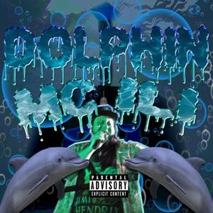 Dolphin (Explicit)