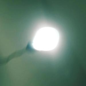 Meine chain sie scheint im dunkeln wie ein Licht (Explicit)