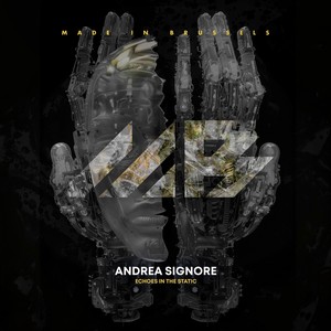 Echoes in the Static (Original Mix)