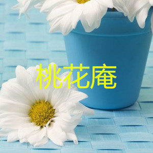 桥边姑娘 (烟嗓版)