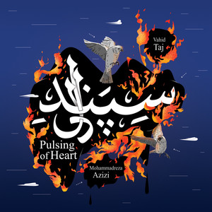 Pulsing of Heart