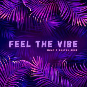 Feel the Vibe