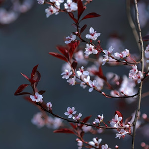 短暂与永恒 (Live)