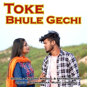 Toke Bhule Gechi