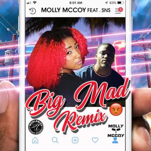 Big Mad(feat. SNS) (Remix)