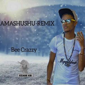 Amashushu (feat. Dj Beehands, Dj Noice Pace, Mgobicx, BlaqRose, Clipperson, Tiger Da Rapper & Mr KB) [Remix V 2]