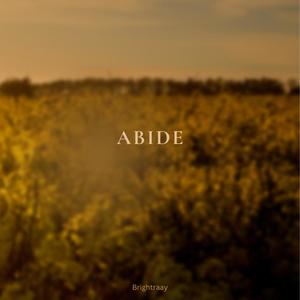 Abide (feat. Nono) (Radio Edit)