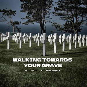 Walking Towards Your Grave (feat. VOID)