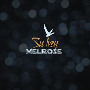Su Ivey - Melrose