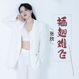 插翅难飞