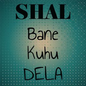 Shal Bane Kuhu Dela