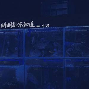 什么也不懂 (明明都不知道)