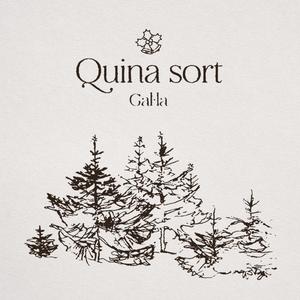 QUINA SORT (Explicit)