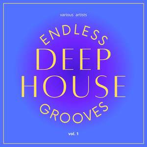 Endless Deep-House Grooves, Vol. 1 (Explicit)