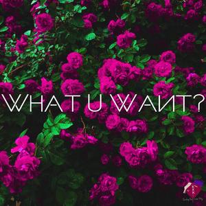 What U Want? (feat. Danté James)