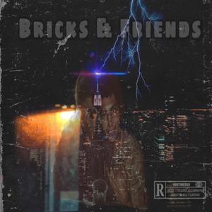 Bricks & Friends (Explicit)