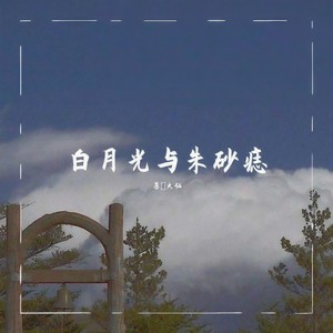 朱砂痣与白月光封面