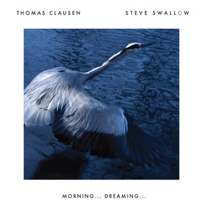 Steve Swallow - A La Blues