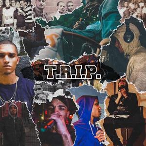 TRIP (Explicit)