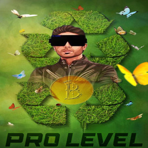 Pro Level
