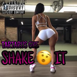 SHAKE IT (feat. Prod RomonTopbeatz) [Explicit]