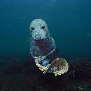 Black Bag (Explicit)