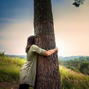 The Wilds Play A Gentle Tune