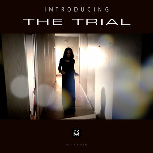 Introducing the Trial