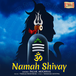 Om Namah Shivay