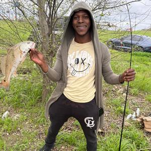 Sir.Domo - Boyz n the Hood (Explicit)