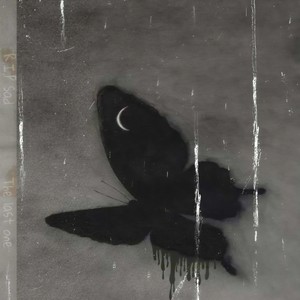 让我替这个坏掉的世界好好爱你