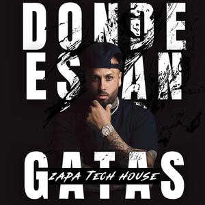 Donde Estan Las Gatas . ZAPA (Tech House)