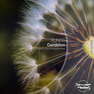 Dandelion (Original Mix)