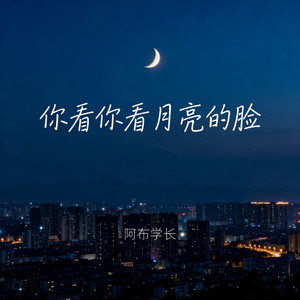 你看你看月亮的脸