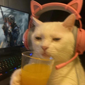 So Much Get Pain (Explicit)