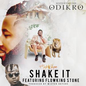 Shake It (feat. Flowking Stone)