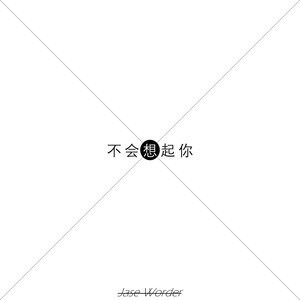 不会想起你 (Inst.)