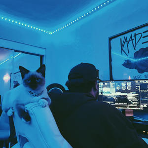 drive me crazy freestyle