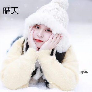 桥边姑娘 (Remix)