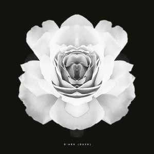 D'ark(DUSK) (Original Mix)