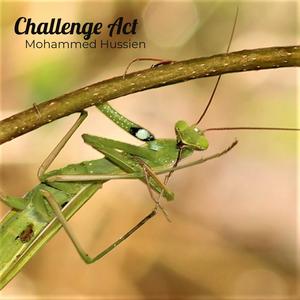 Challenge Act