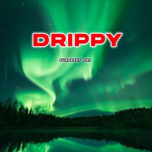 Drippy (feat. AR Paisley & SMW) [Explicit]