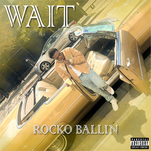 Wait (Explicit)