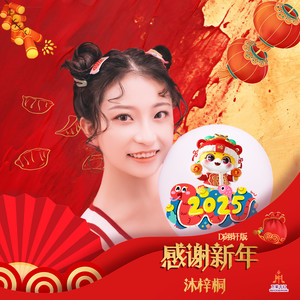 感谢新年 (Dj翊轩慢摇版伴奏)