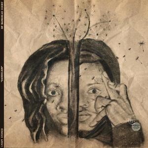 HAND SIGNALS (Explicit)