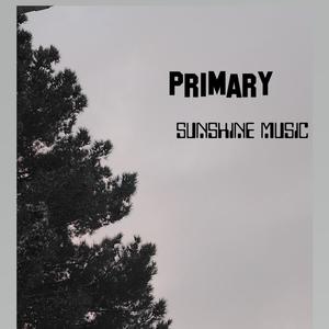Sunshine Music - Primary (Explicit)
