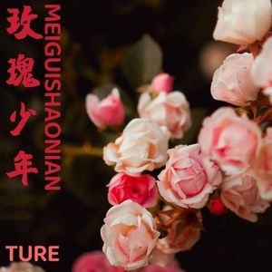 玫瑰少年 (小提琴版x0.8)封面